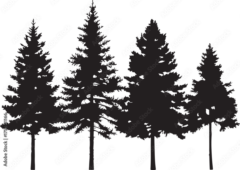 Obraz premium Silhouette of a Row of Pine Trees Against a White Background forest nature