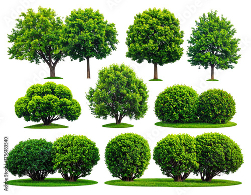 Collection of various healthy, vibrant green trees and bushes, with grass, on a dark background