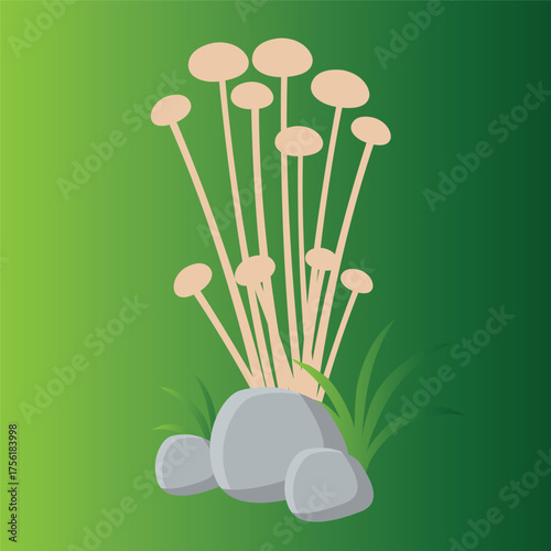 Vector Colorful Flat Fly Agaric Illustration