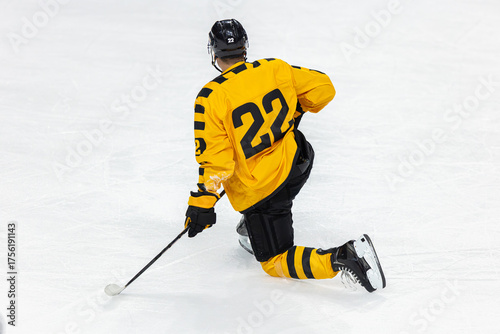 Ice hockey players playing ice hockey