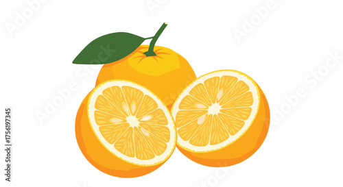 Fresh ripe oranges cut in half on a white background.
