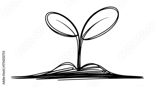 Young plant seedling with two leaves sprouting from soil representing growth and development