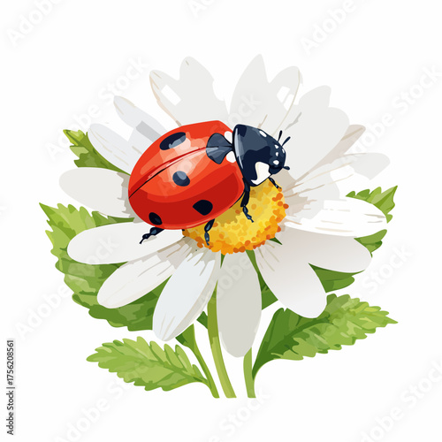Marienkäfer auf Gänseblümchen