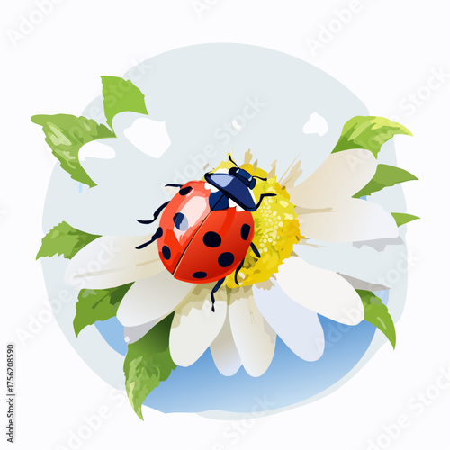 Marienkäfer auf Gänseblümchen