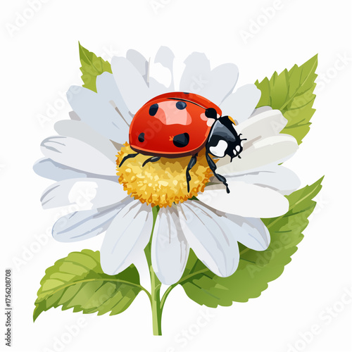 Marienkäfer auf Gänseblümchen