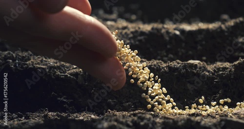 Super slow motion close-up of a hand planting seeds into fertile soil at 1000 fps. Cinematic and detailed macro shot representing organic farming, growth, nature, and sustainable agriculture.