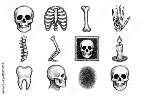 Hand drawn skeletal elements with skulls, candle, and tooth sketches