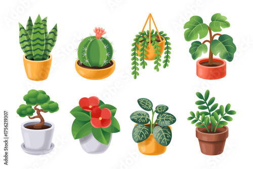 Collection of diverse potted plants including snake plant cactus hanging plant bonsai and flowering plant ideal for indoor gardening and home decor adding a touch of nature and greenery