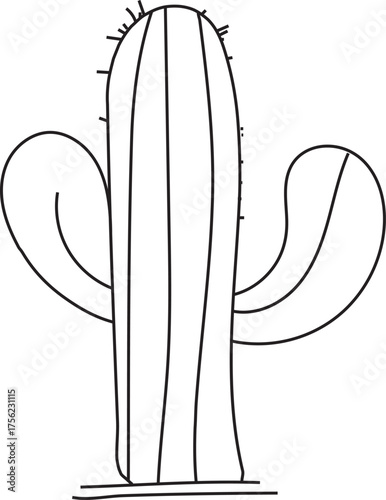 hand drawn vector of a cactus