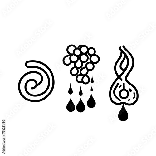  A creative and artistic concept combining a bunch of grapes with abstract liquid drops and flame-like swirls. This vector graphic can represent winemaking, flavor, vineyards, or natural energy.