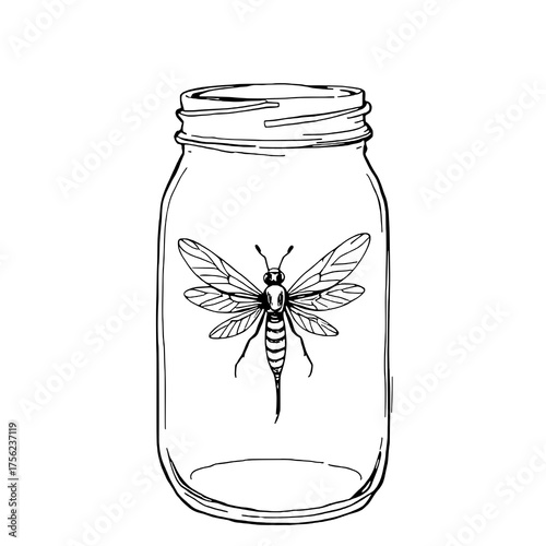 Detailed Hand-Drawn Black Outline Illustration of an Insect Inside a Mason Jar, Presented on a Clean White Background