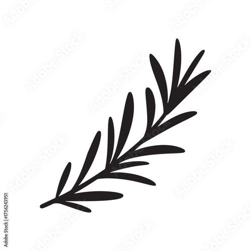 Simple black silhouette of a rosemary sprig with delicate leaves on a white background