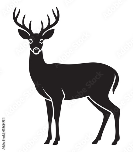 Elegant white tailed deer silhouette standing gracefully in nature