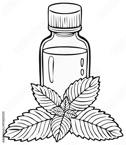 A bottle of mint essential oil with fresh herb leaves black and white line art illustration
