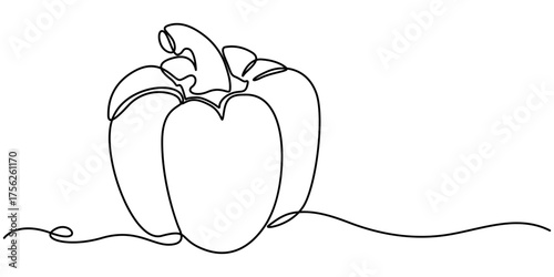 capsicum continuous one line drawing,  isolated on white background, outline illustration. 