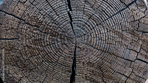 texture example: wood