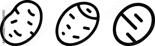 Potato icon thin line outline set or collection, Potatoes or Tubers Line Icon set