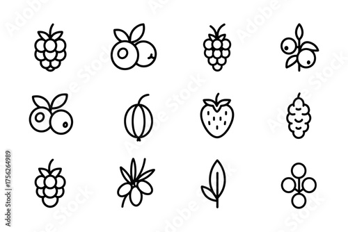 Minimalist outline of berry and fruit icons for food design