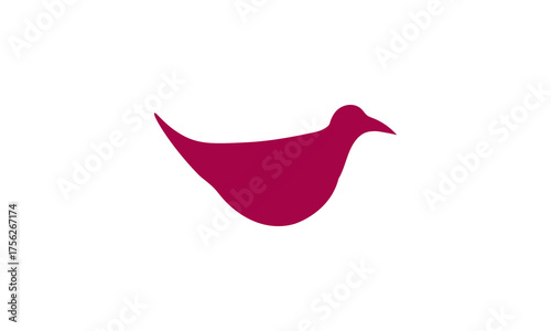 apollo duck