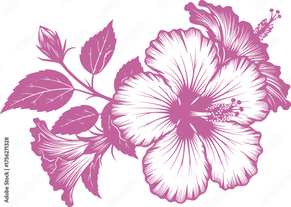 Obraz premium Vector art of pink hibiscus flower branch with buds