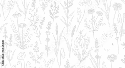 Delicate botanical sketch pattern of wildflowers and herbs on a light background, suitable for stationery and design
