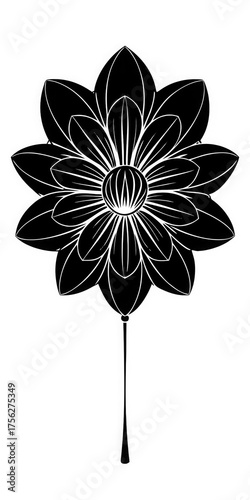 black and white flower