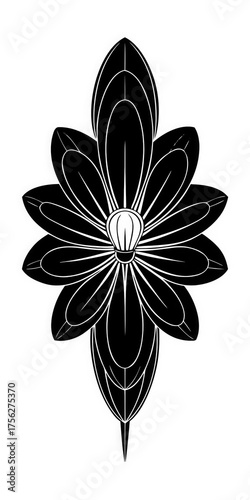 black and white flower
