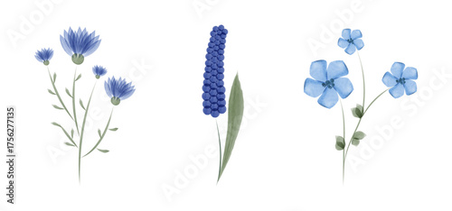 Three separate sets of flowers are depicted in a watercolor style against a white backdrop. The flowers are rendered in various shades of blue with green stems and leaves.