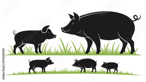 Black Pig Family Silhouettes on Green Grass swine piglet