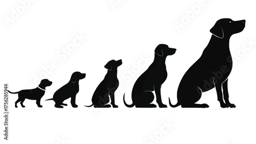 Silhouette of Dog Growth Stages Sitting puppy evolution