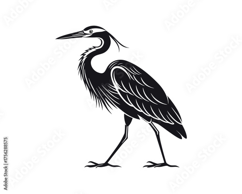heron, bird, illustration, sketch, drawing, black and white, monochrome, wildlife, nature, avian, standing, elegant, graceful, long neck, long legs, silhouette, outline, art, graphic, vector, vintage