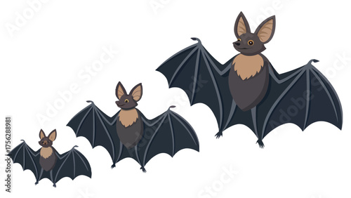 Three Bats of Varying Sizes vector showing