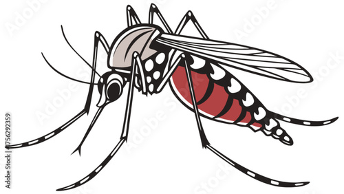 black and white mosquito