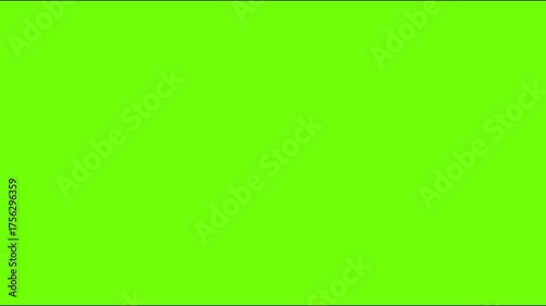 beautiful sparrow in plant 3D animated video 4K animated video . animated in basic color .celebration of beautiful sparrow in plant animation video . animated icons .

