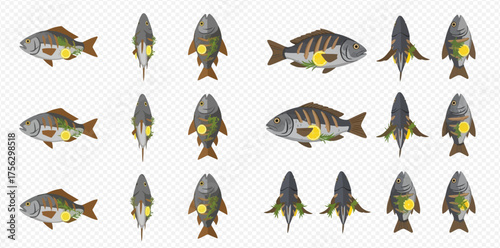 Multiple views of stylized fish illustrations on transparent background.