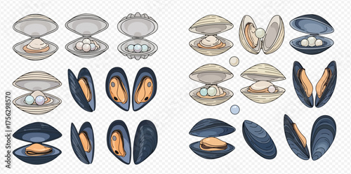 Illustration of open clams and mussels, some with pearls, in various shades of blue, gray, and beige.