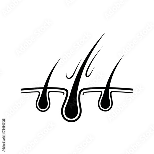 Hair follicle structure icon representing skin and growth
