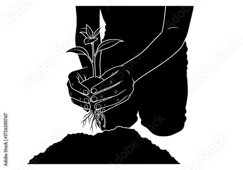 Human hands planting a small seedling into fertile soil a vector silhouette illustration depicting growth and environmental care