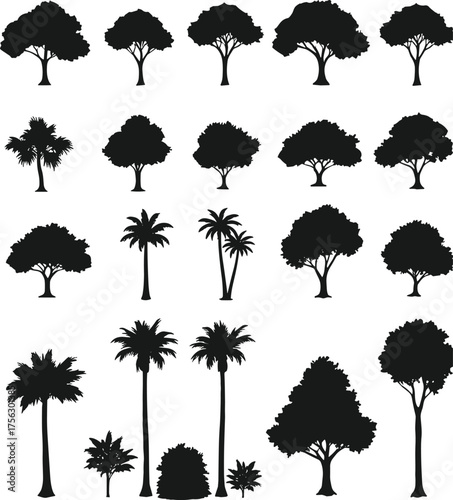 Tree silhouette vector set, black botanical icons, diverse tree shapes, palm and deciduous graphics, landscape design elements, nature illustration pack