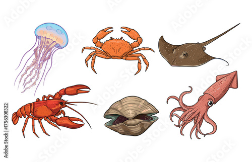 Ocean marine life icons for educational and environmental design
