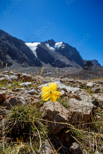 View of the Bogdanovich Glacier. Kazakhstan, Medeo, Chimbulak