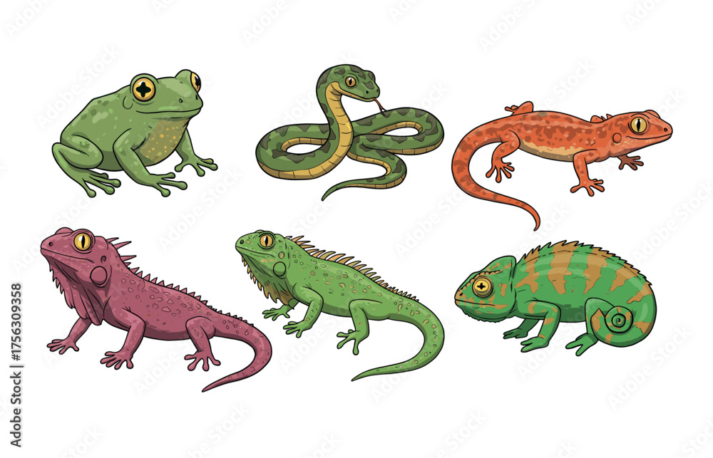 Fototapeta premium Reptile and amphibian icon collection for educational and nature-themed designs