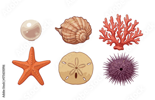 Marine life treasures for coastal-themed designs and decor enhancements