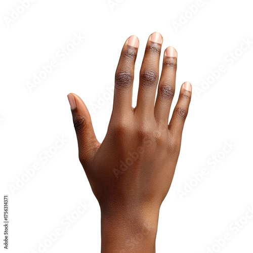 Women's Hands, Human Palm, Hand Gestures Female Fingers, Diverse Skin Tones, white background