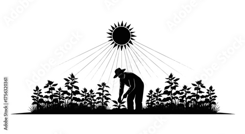 Dedicated farmer diligently planting seedlings under bright midday sun amidst lush green growth, symbolizing growth and harvest.