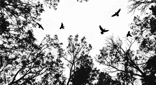 Silhouetted birds soar gracefully through a stark, skeletal forest canopy against a bright, expansive sky, evoking freedom and nature's raw beauty.