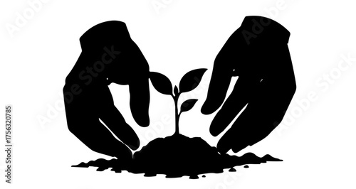 Nurturing growth and new beginnings with gentle hands protecting a vibrant seedling in rich soil
