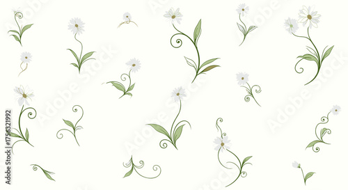Delicate white wildflowers with swirling green stems and leaves arranged on a subtle textured background.