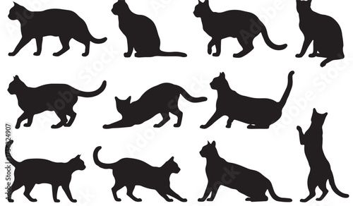 Vector Cat Silhouette Collection — Black Animal Icons Showing Various Cat Postures and Movements for Graphic Designers