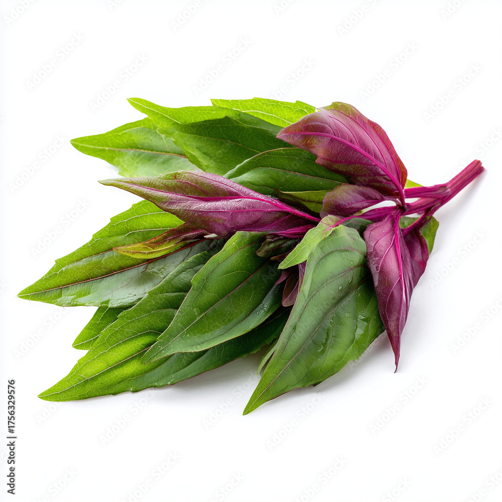 Obraz premium fresh roselle leaves on white background